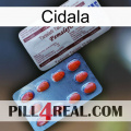 Cidala 36